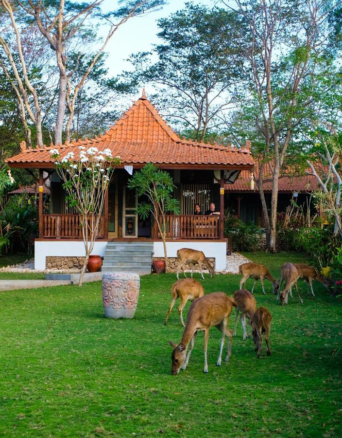 Plataran Menjangan Resort And Spa - Chse Certified Banyuwedang Bilik gambar